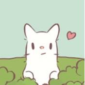 猫和汤 cats&soup 猫和汤 cats&soup