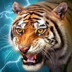 老虎 The Tiger 老虎 The Tiger
