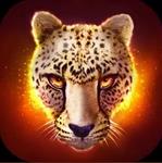 猎豹 The Cheetah 猎豹 The Cheetah