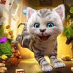 猫咪模拟器2 Cat Simulator 2 猫咪模拟器2 Cat Simulator 2